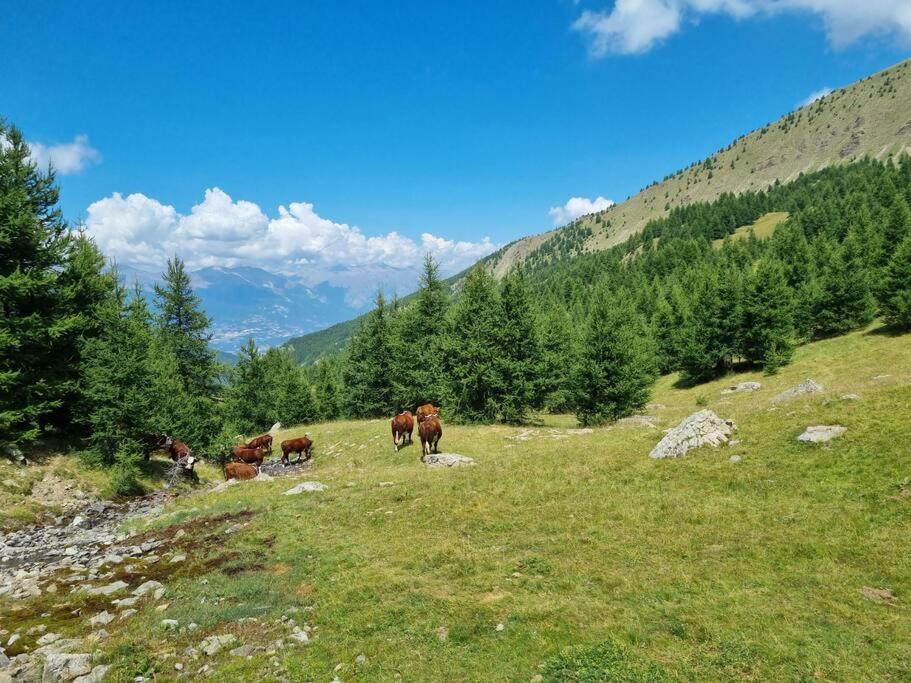 T2 + Coin Montagne - Wifi/Piscine - Les Orres 1800 Lejlighed Eksteriør billede